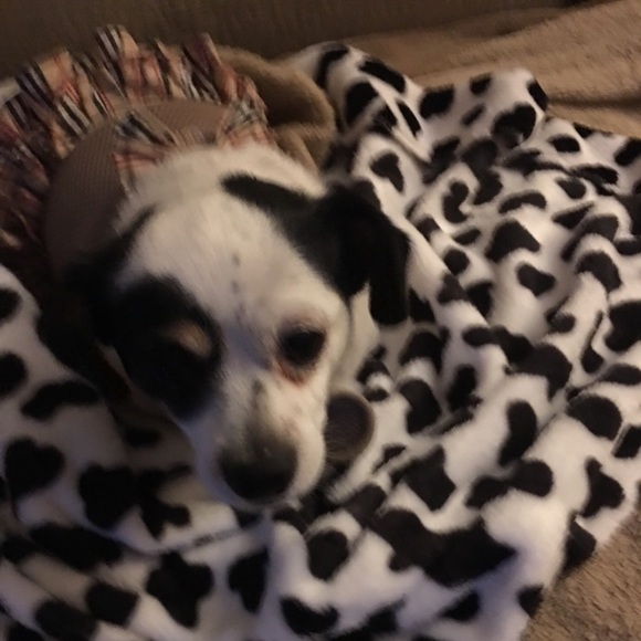 Meet your Posher, Julia - Picture 3 of 3